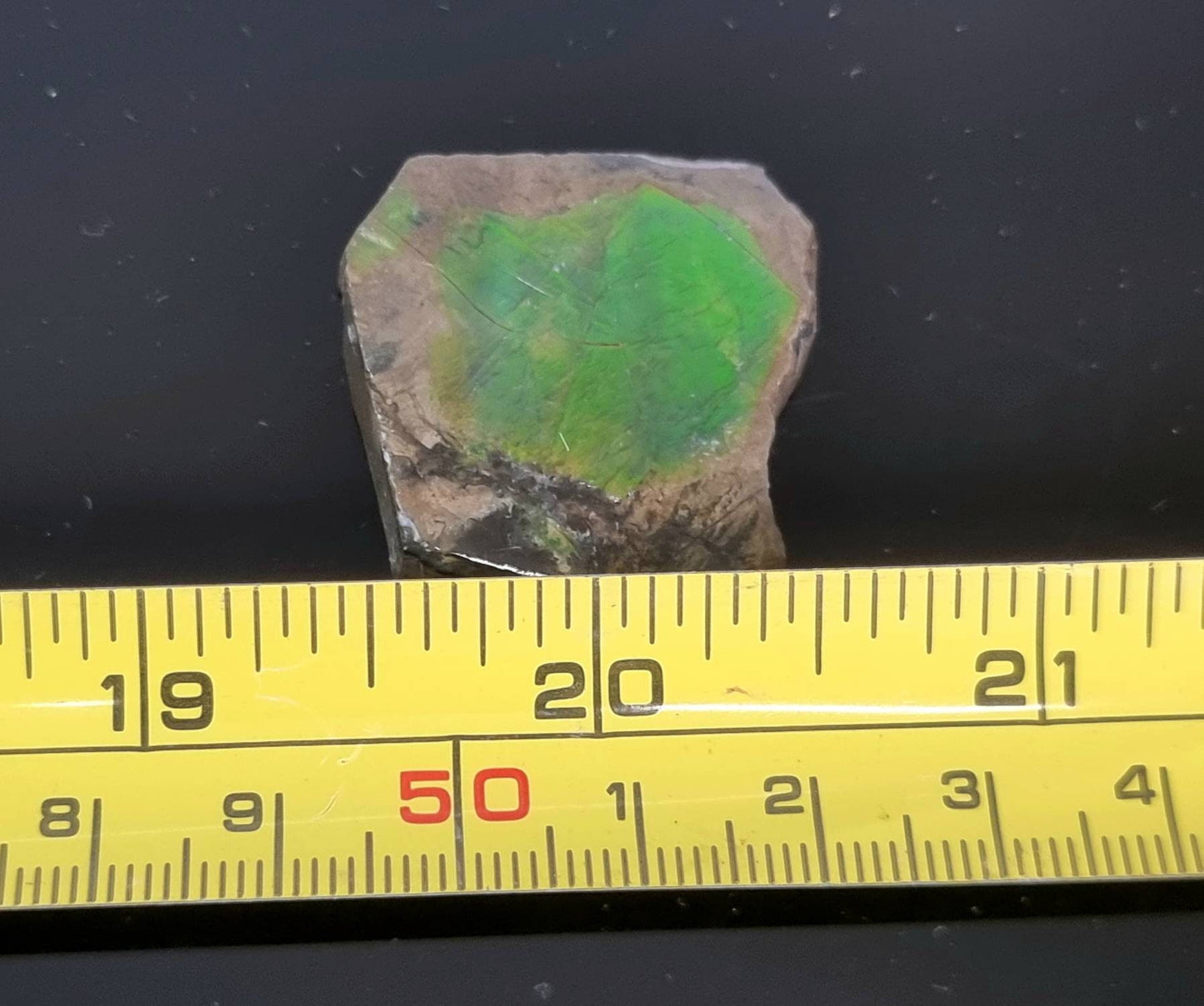 11) Ammolite Crystal Gemstone