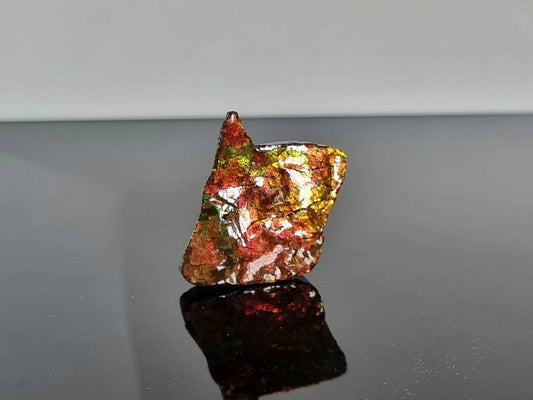 Large Ammolite Crystal Gemstone