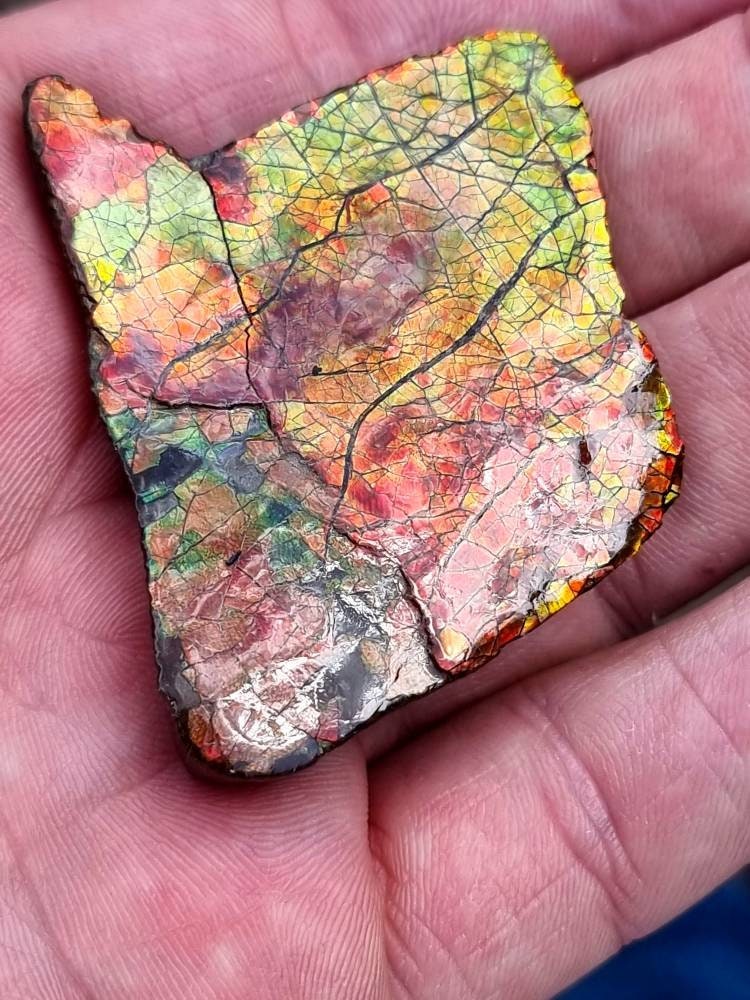 6a) Ammolite Crystal Gemstone