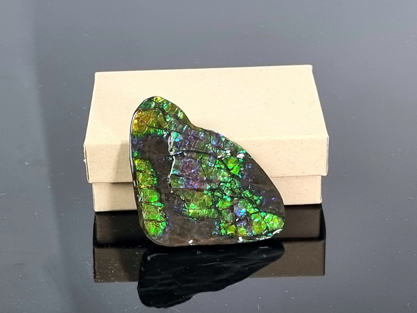Large Ammolite Crystal Gemstone