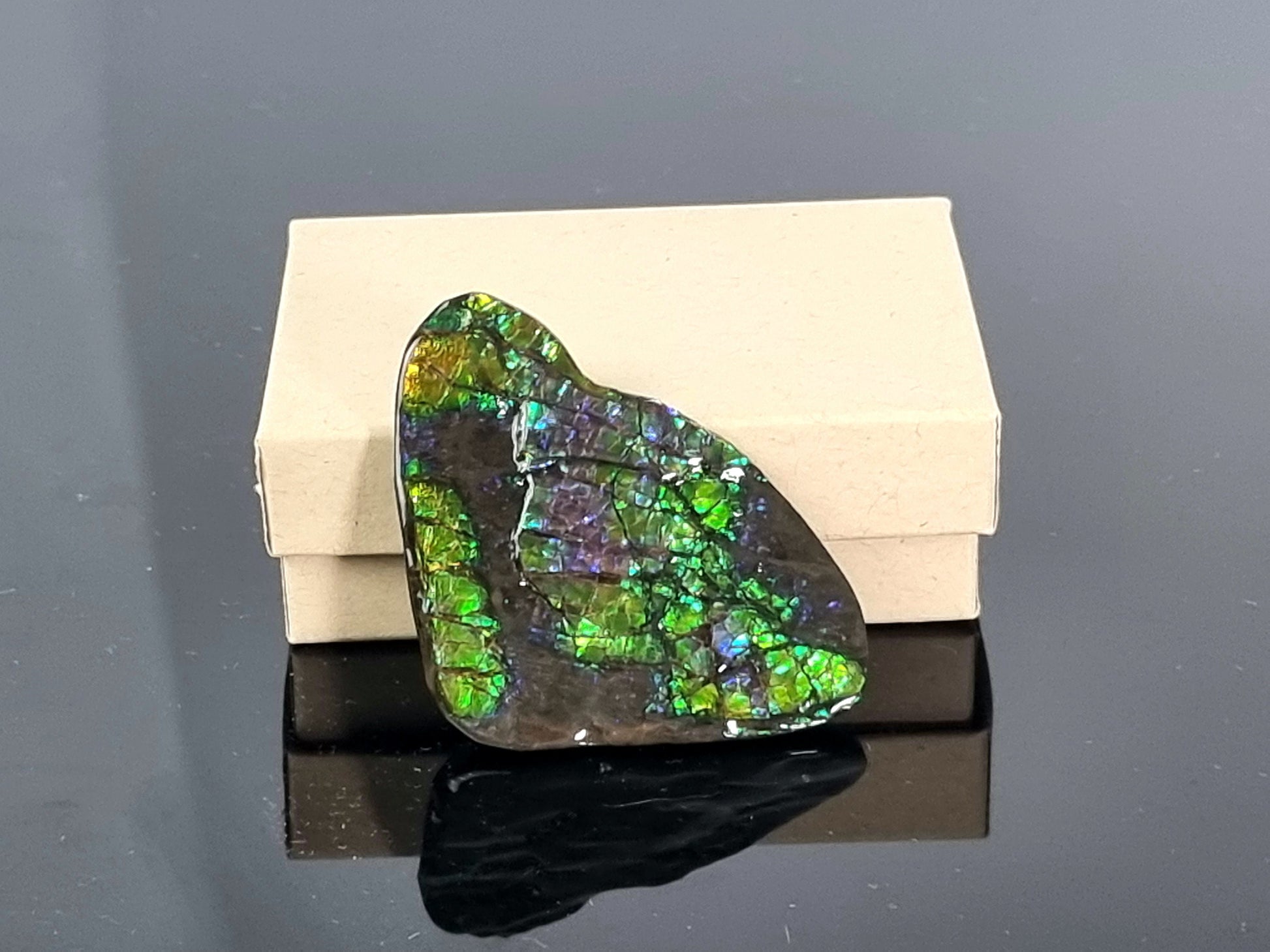 Large Ammolite Crystal Gemstone