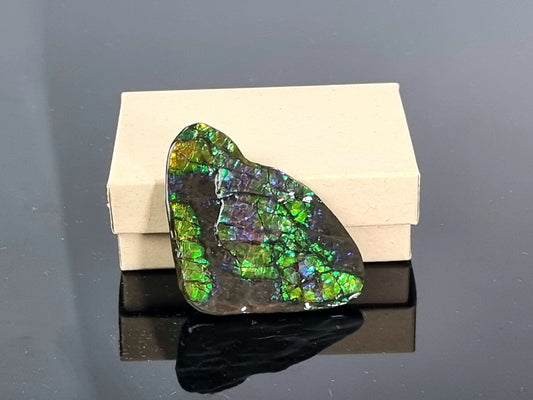Large Ammolite Crystal Gemstone