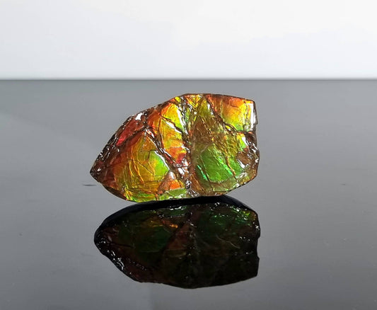 Large Ammolite Crystal Gemstone