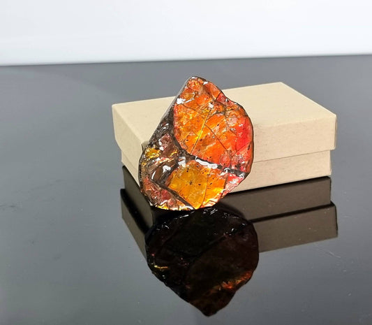 Large Ammolite Crystal Gemstone