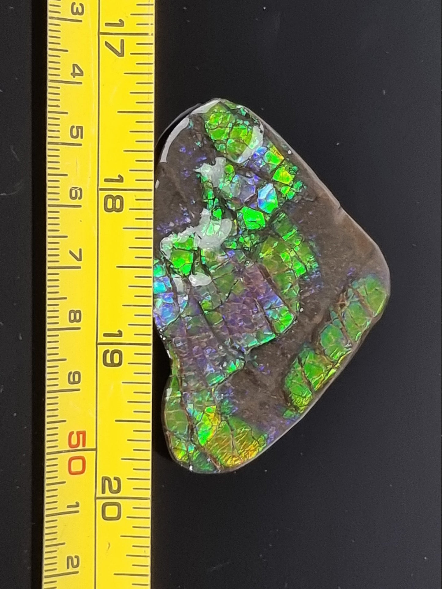 7a) Ammolite Crystal Gemstone