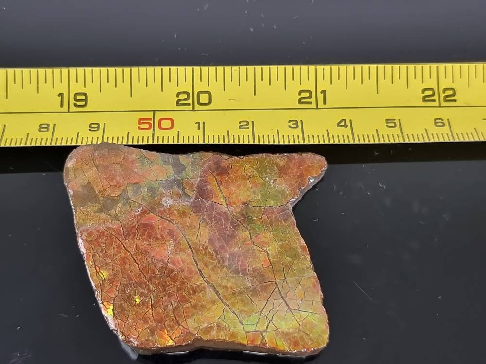 6a) Ammolite Crystal Gemstone