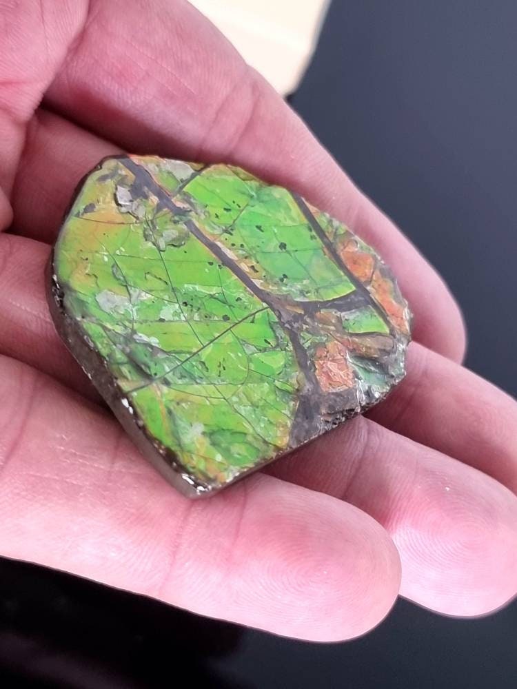4a) Ammolite Crystal Gemstone