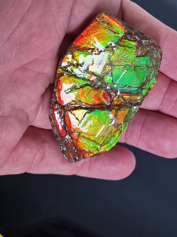 3a) Ammolite Crystal Gemstone