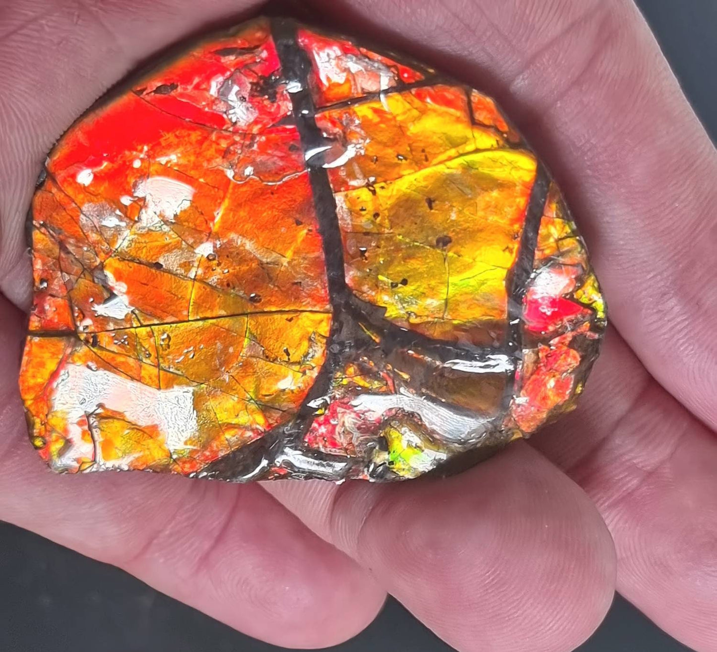 4a) Ammolite Crystal Gemstone