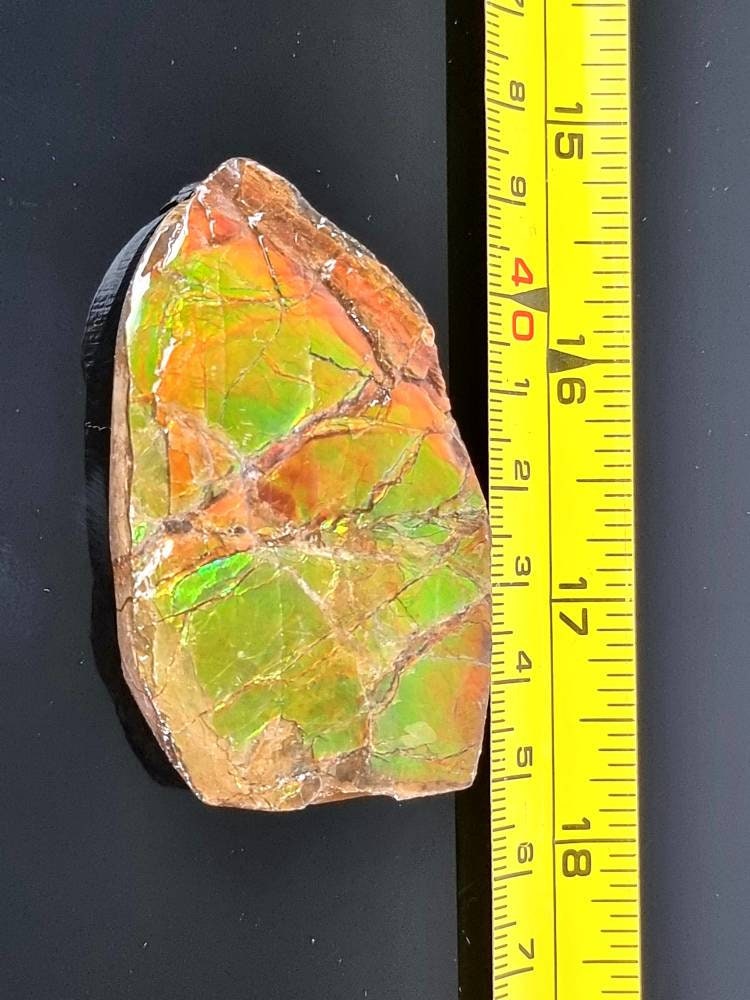 3a) Ammolite Crystal Gemstone
