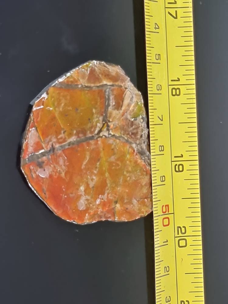 4a) Ammolite Crystal Gemstone