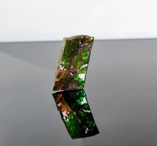Large Ammolite Crystal Gemstone