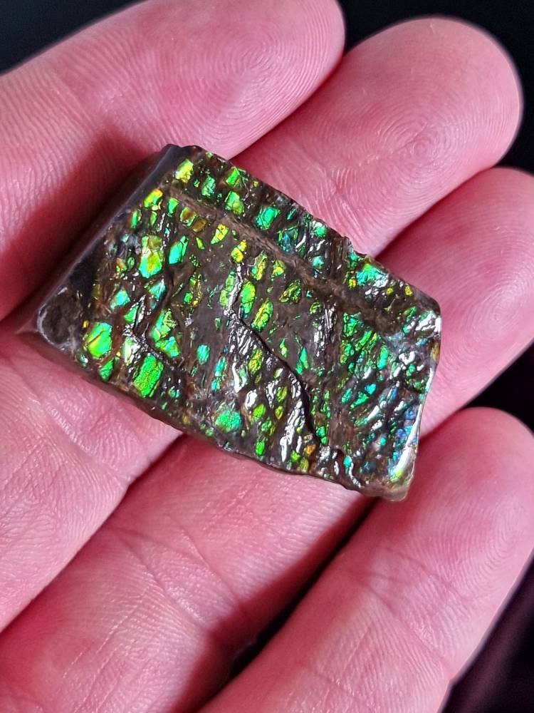 9) Ammolite Crystal Gemstone