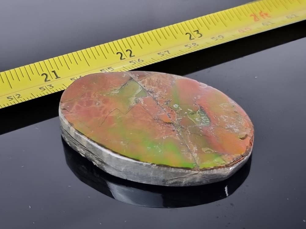 1a) Ammolite Crystal Gemstone