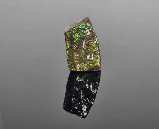 Large Ammolite Crystal Gemstone