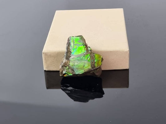 Large Ammolite Crystal Gemstone