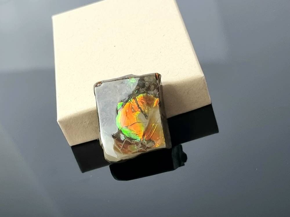 Large Ammolite Crystal Gemstone