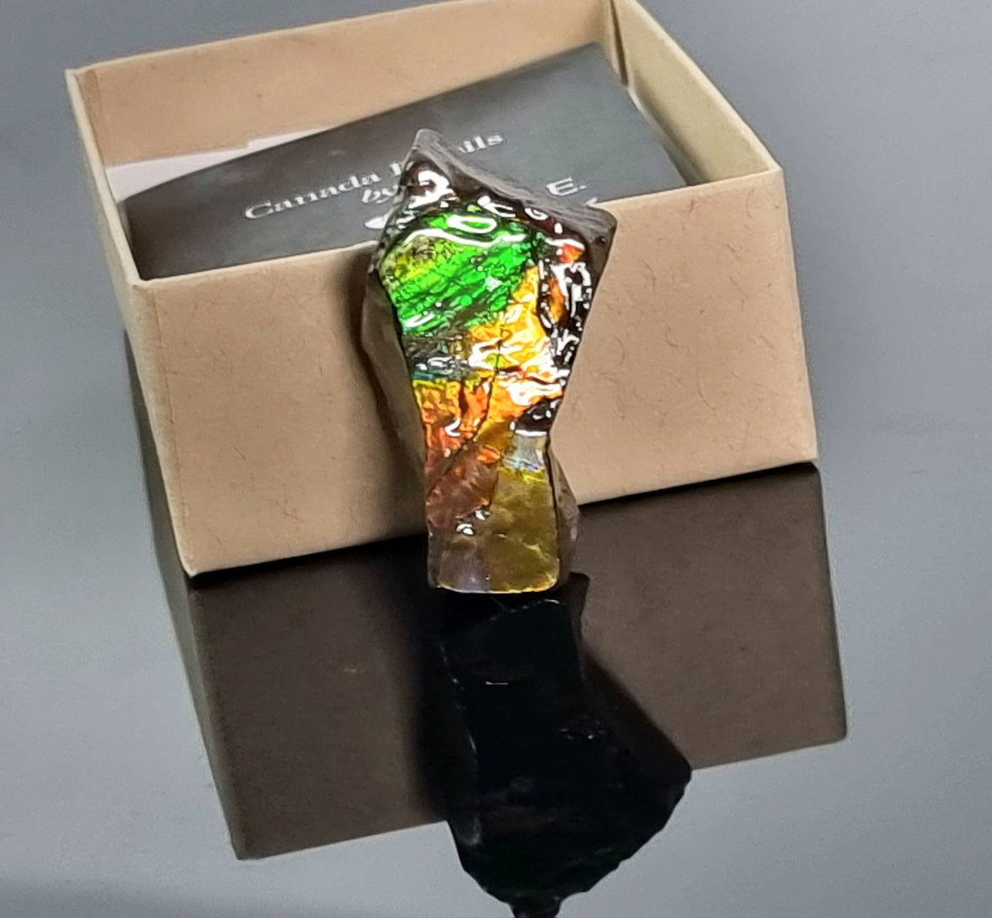 Large Ammolite Crystal Gemstone rare unique