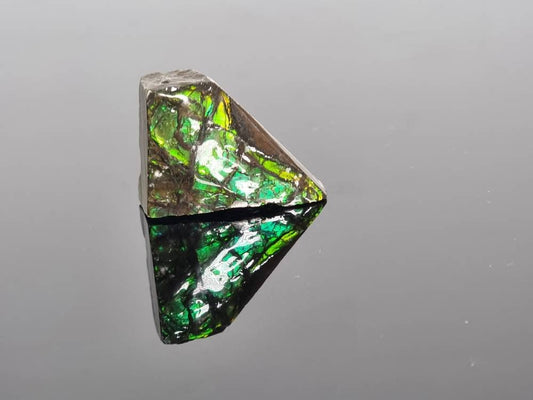 Large Ammolite Crystal Gemstone rare unique