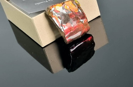 Large Ammolite Crystal Gemstone rare unique