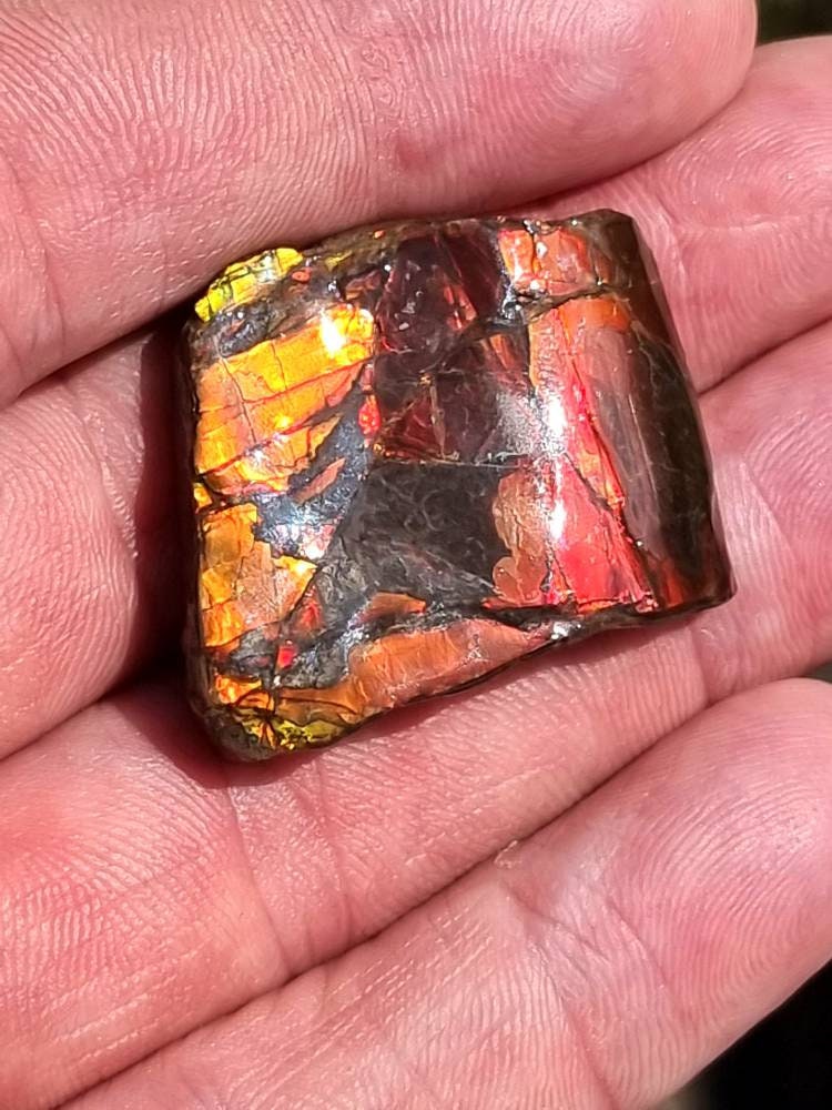 3) Ammolite Crystal Gemstone