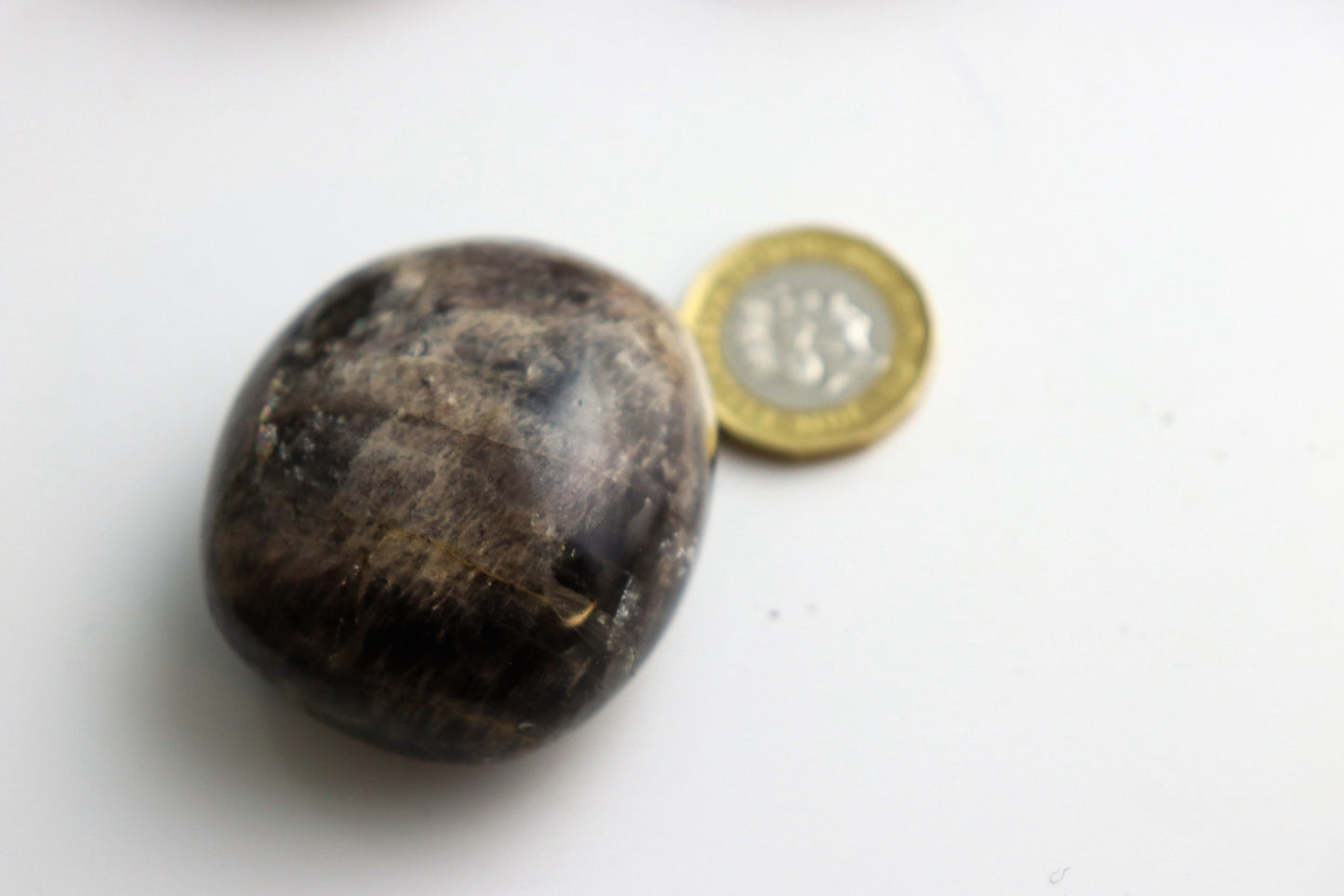 Black Moonstone Crystal Palm stone X1