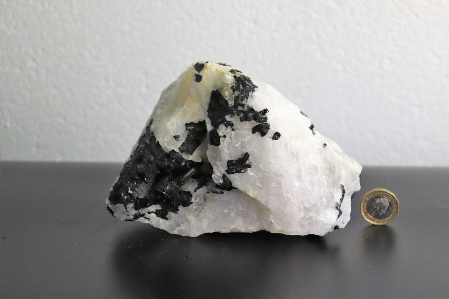 6) Large Black Tourmaline Crystal In Quartz - Tourmalated Quartz