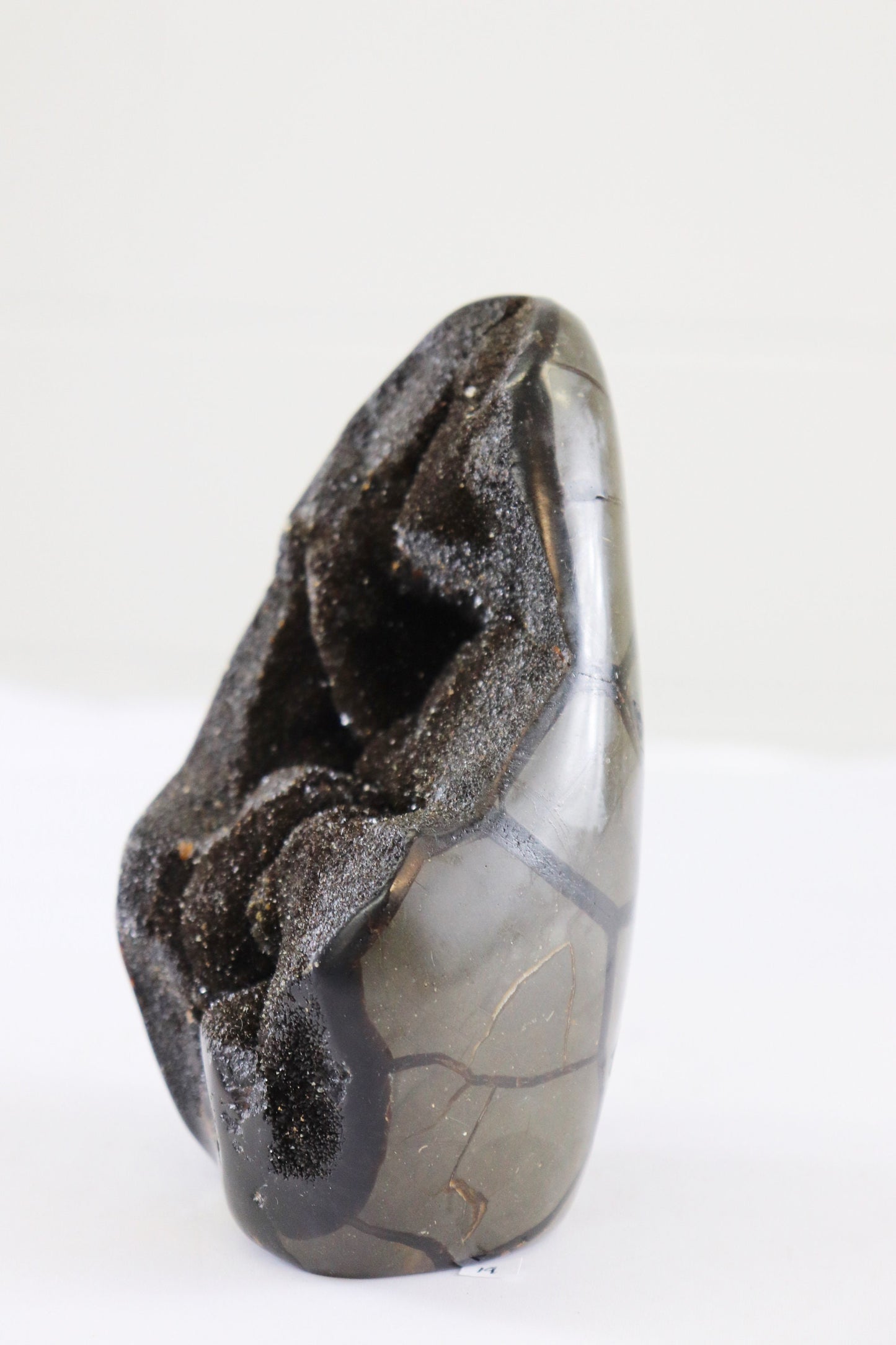 19) Large Septarian Dragon Stone Calcite Crystal Freeform / Natural Unique Home Decor