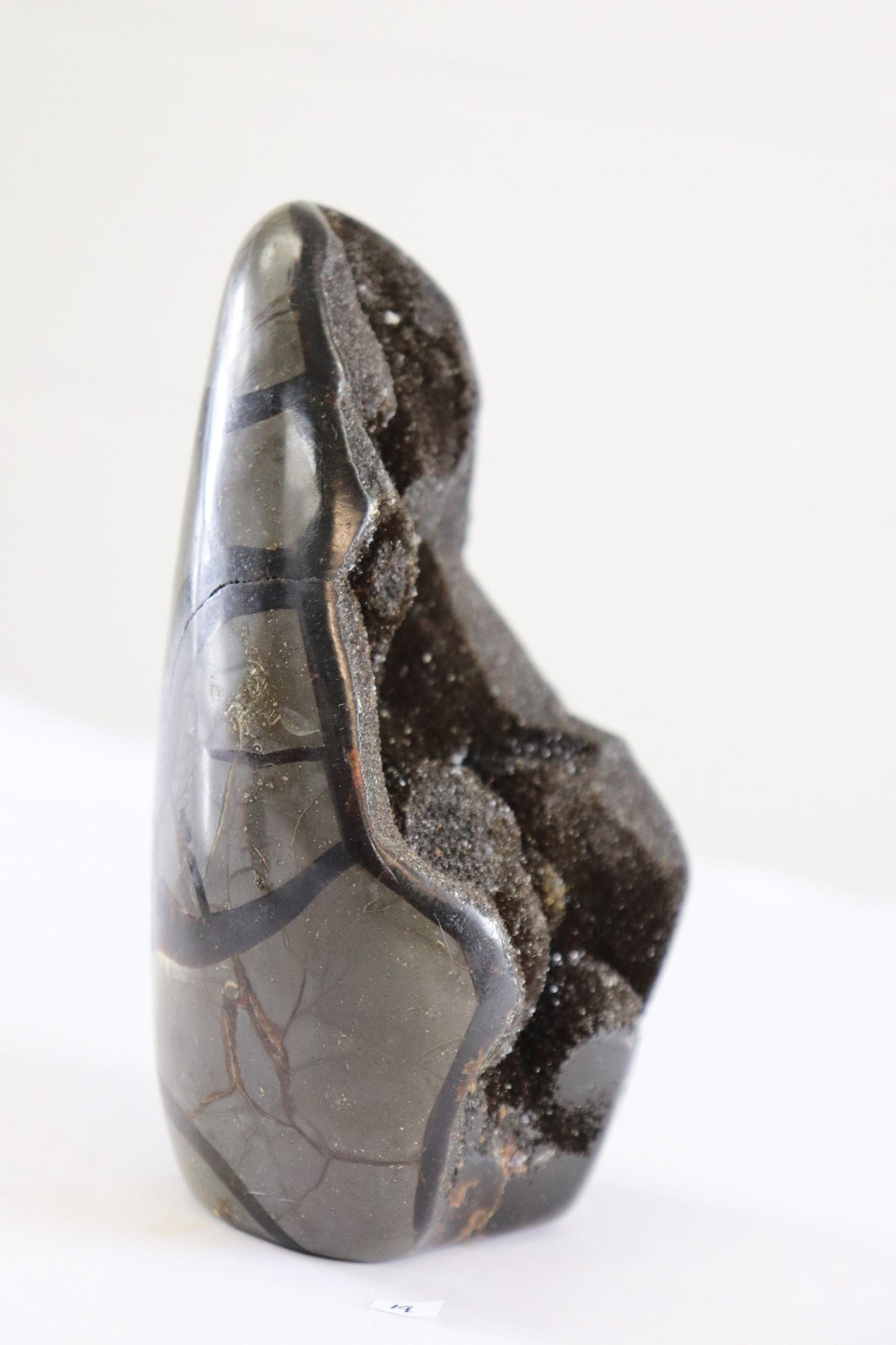 19) Large Septarian Dragon Stone Calcite Crystal Freeform / Natural Unique Home Decor