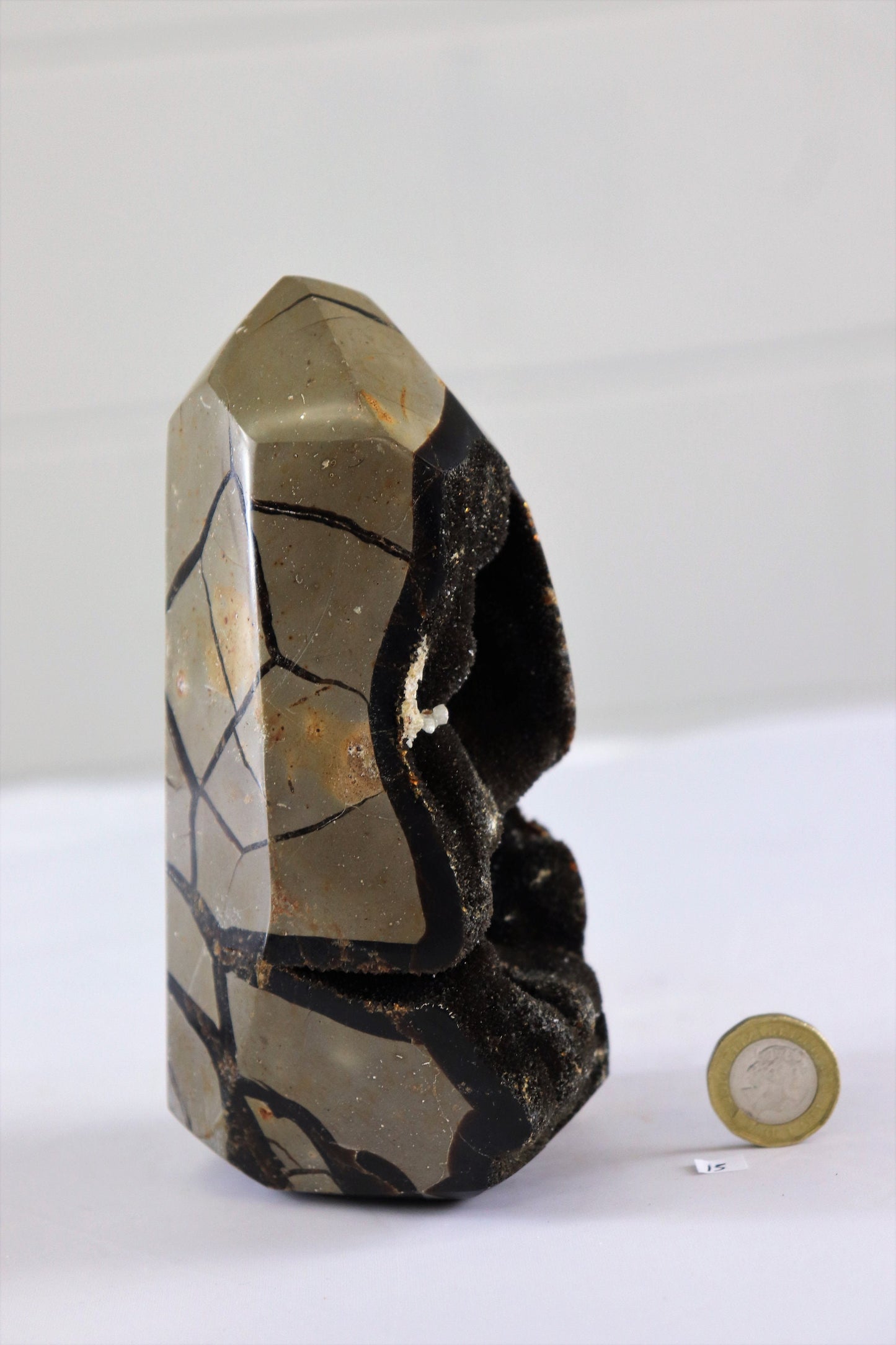 15) Large Septarian Dragon Stone Calcite Crystal Obelisk Point / Unique Home Decor