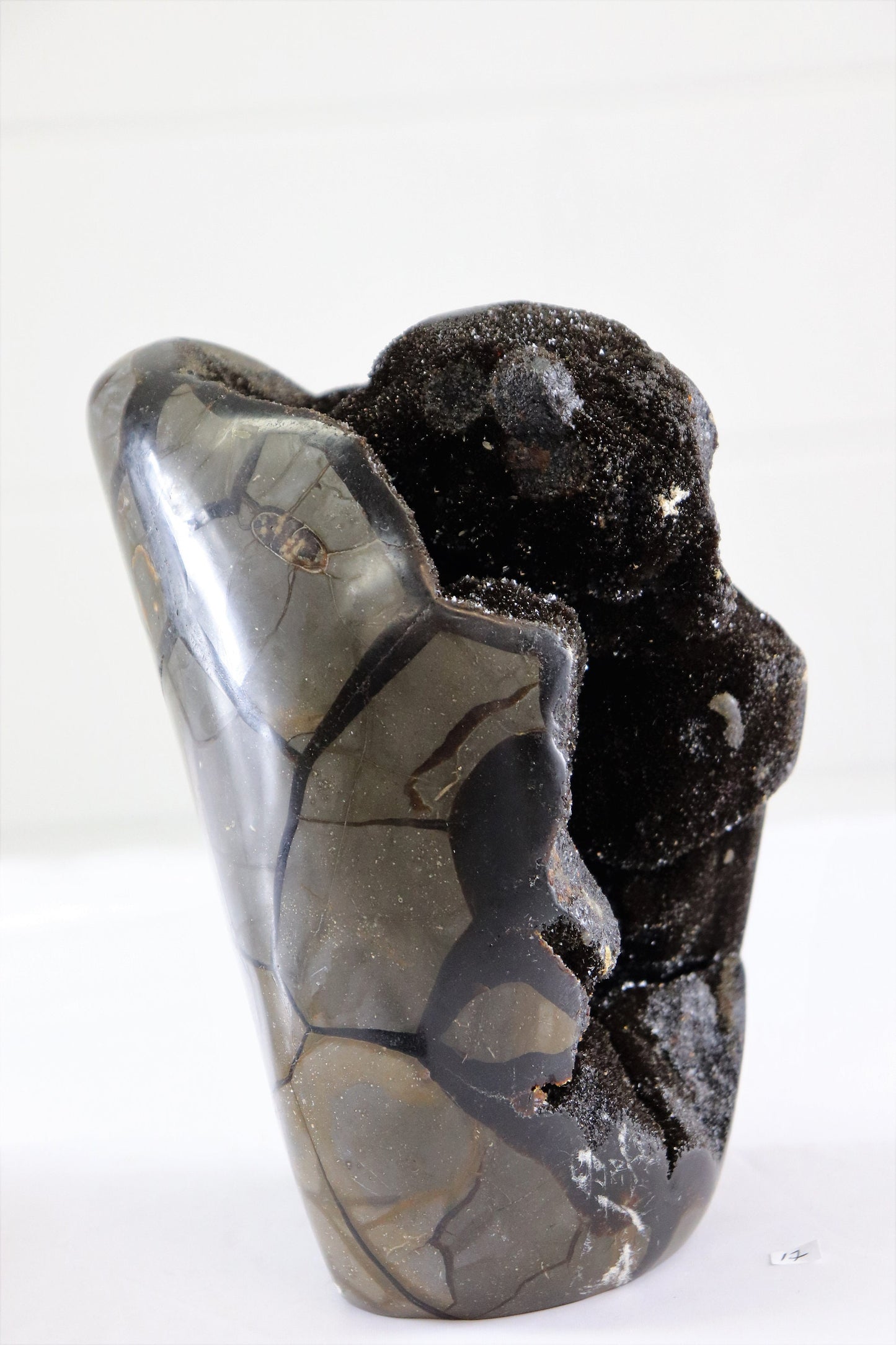 17) XL Very Large Septarian Dragon Stone Calcite Crystal Freeform / Natural Unique Home Decor