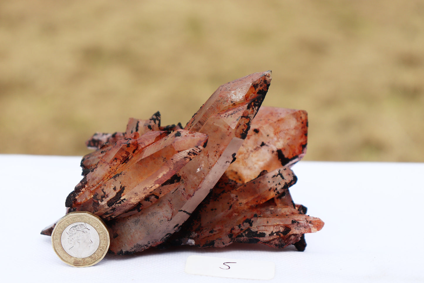 5) Hematite stained Quartz Crystal Cluster From Morocco