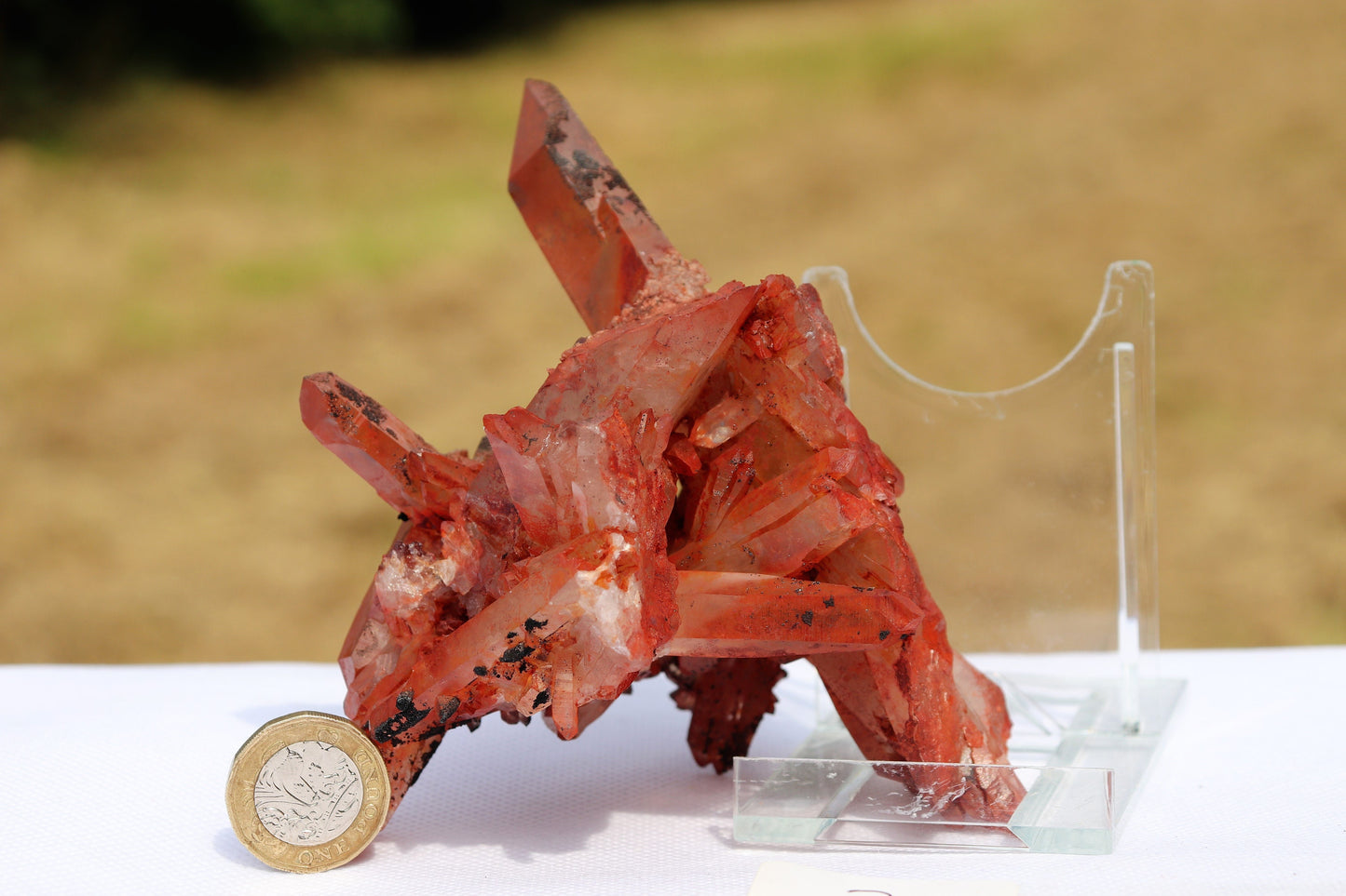 3) Hematite stained Quartz Crystal Cluster From Morocco