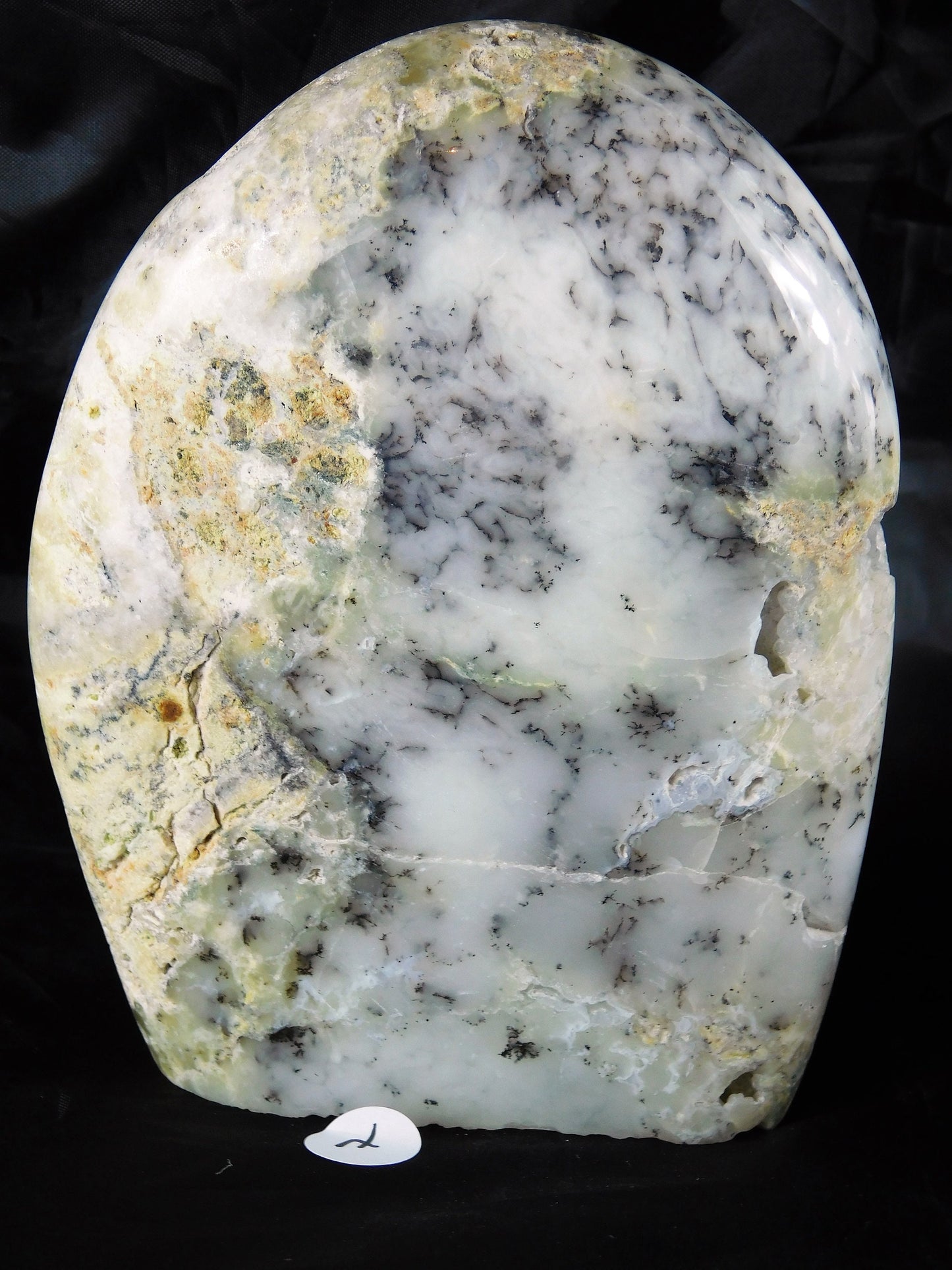7) Merlinite Crystal Dendritic Agate Opalised Madagascar