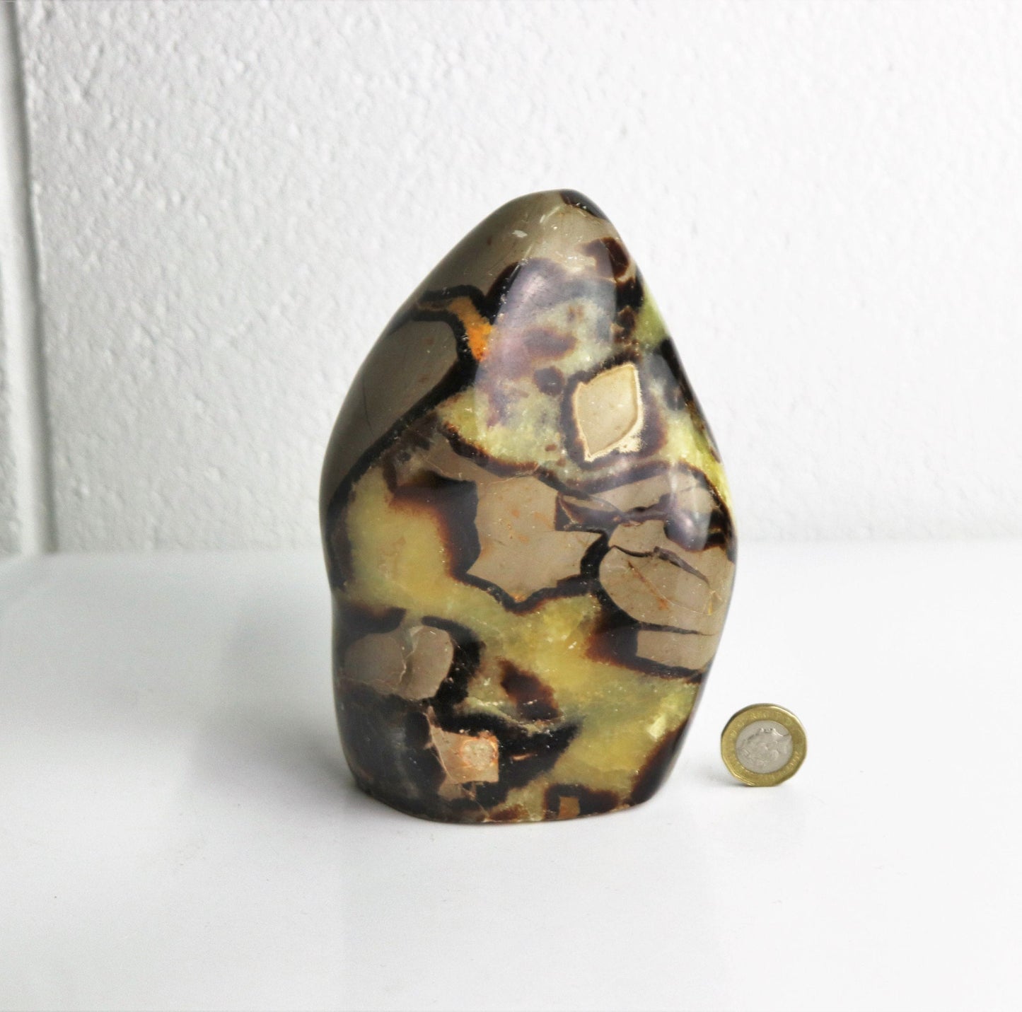 31) Large Septarian Yellow Calcite Crystal