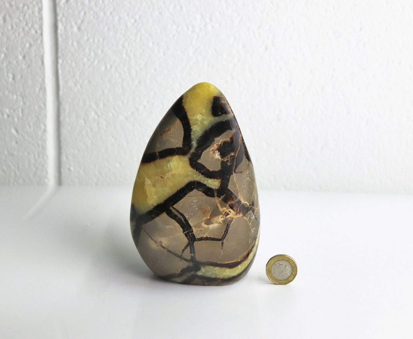 29) Large Septarian Yellow Calcite Crystal