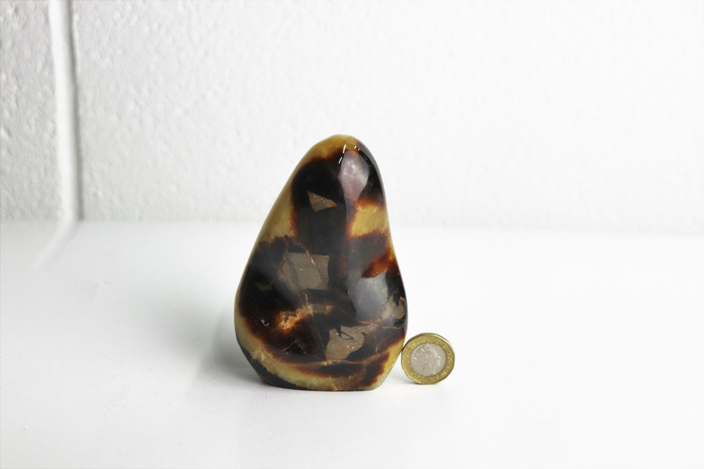 26) Large Septarian Yellow Calcite Crystal