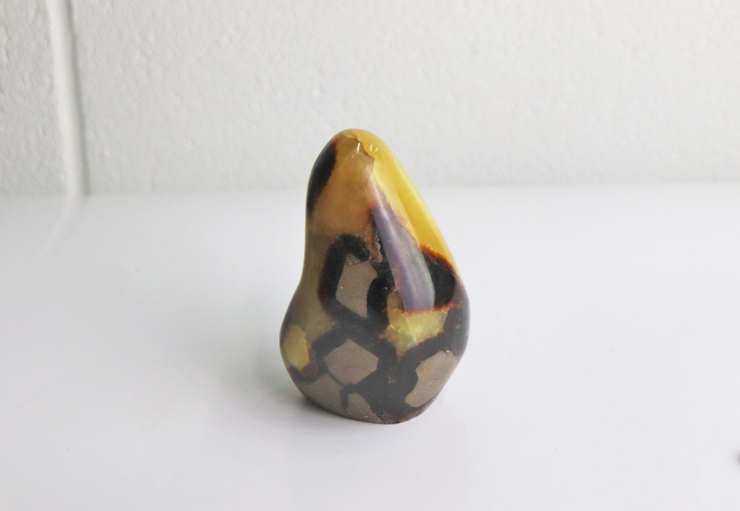 26) Large Septarian Yellow Calcite Crystal