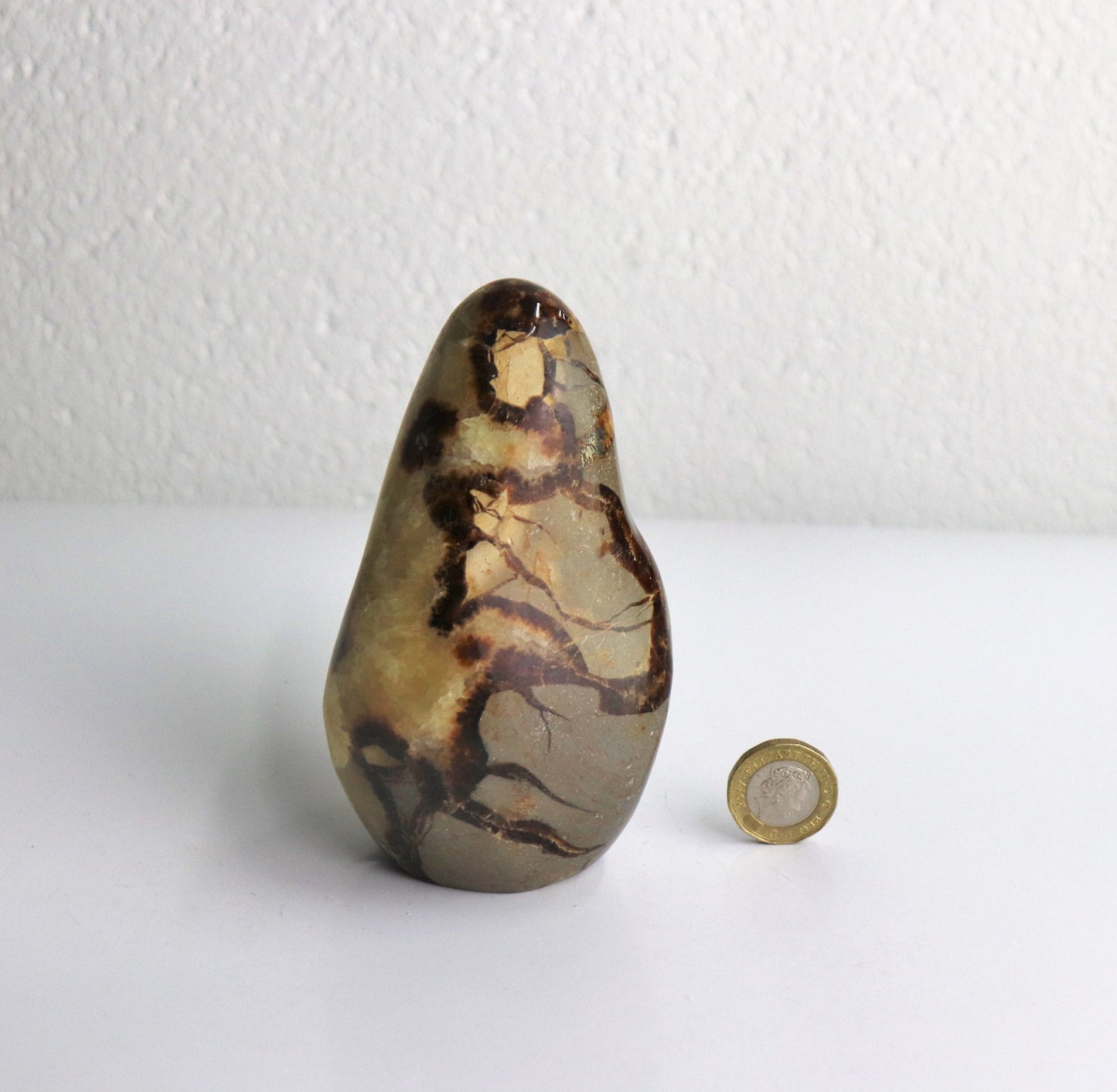 23) Large Septarian Yellow Calcite Crystal