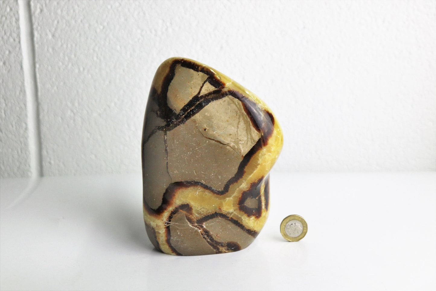 17) Large Septarian Calcite Crystal
