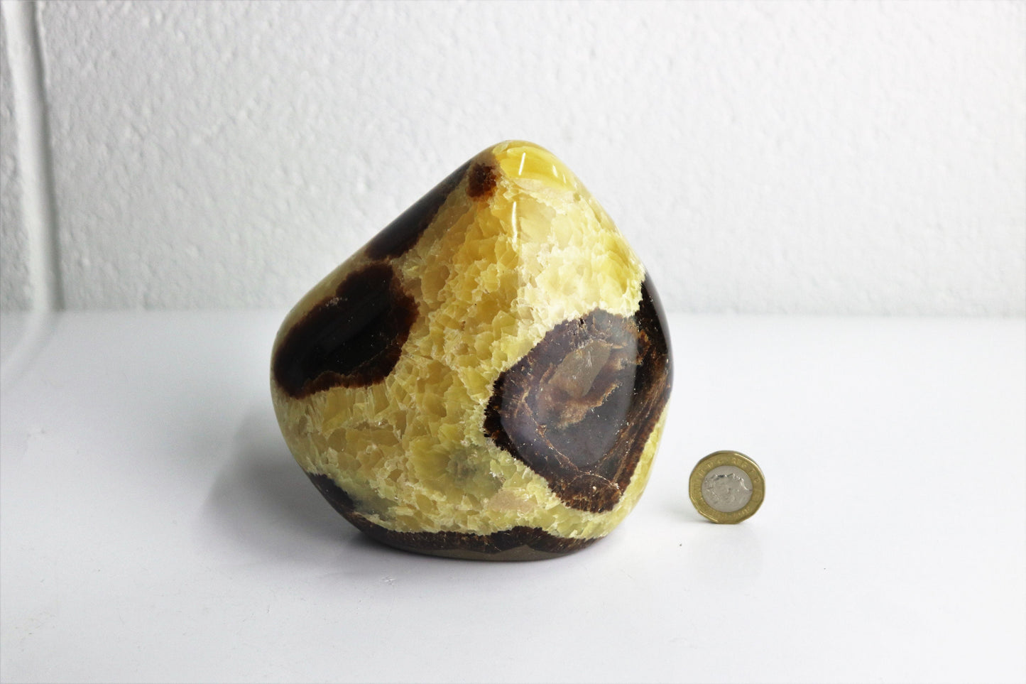 5) Large Septarian Calcite Crystal