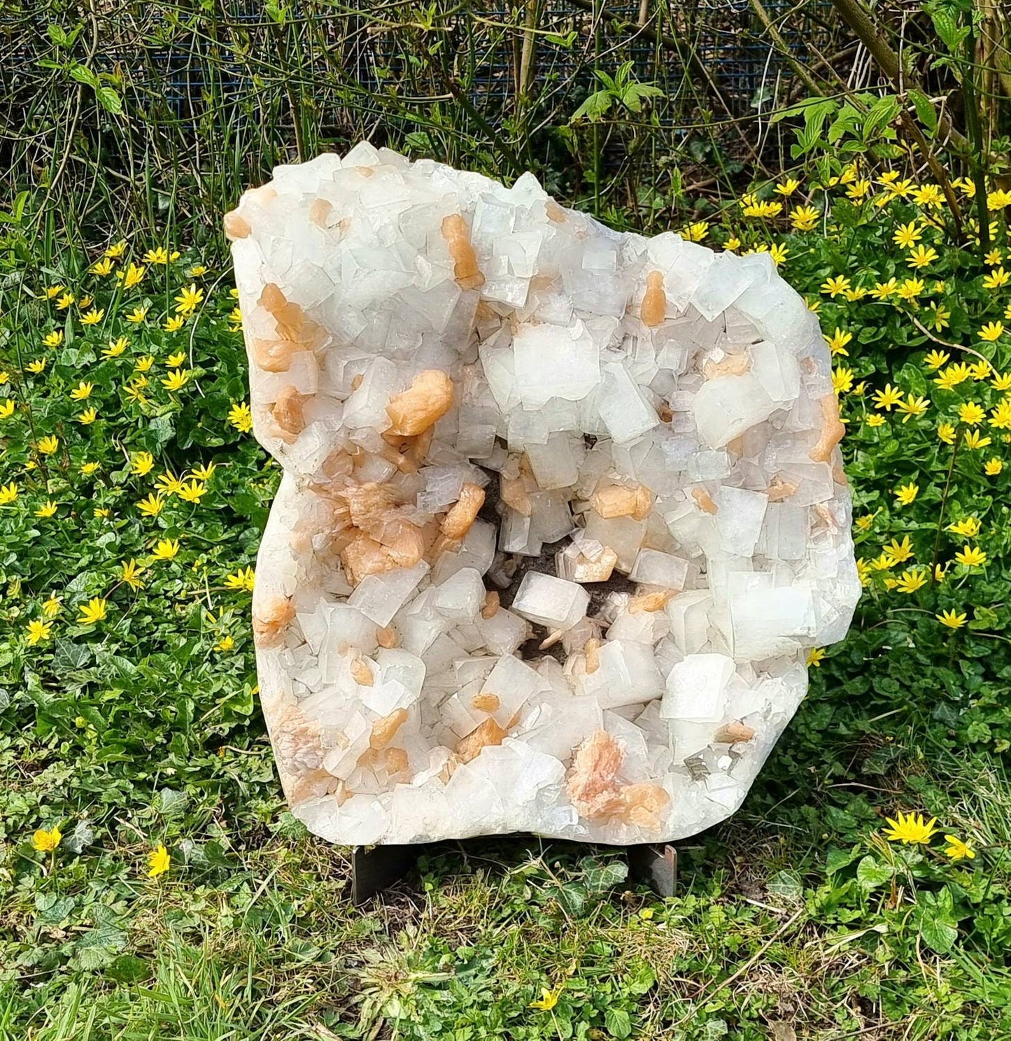 Very Large Apophyllite & Stilbite Zeolite Crystal 23.8 KG