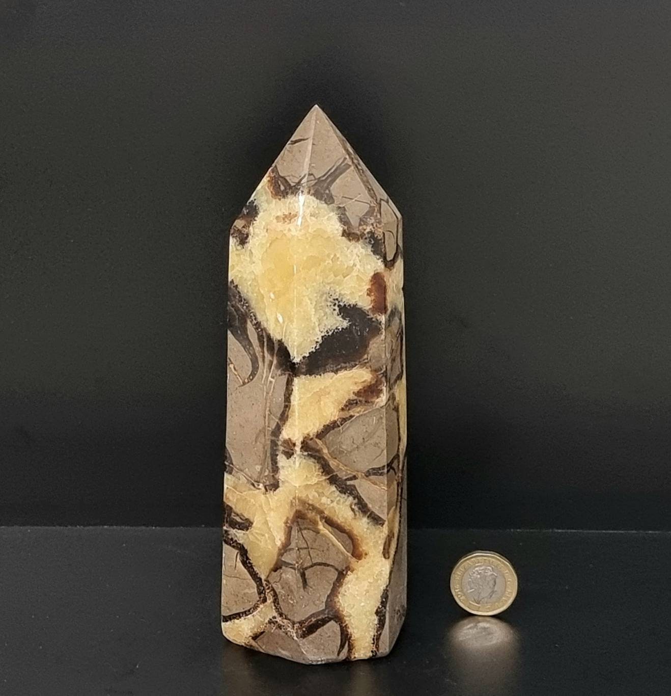 8) Large Septarian Crystal Prism