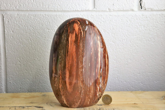 3) Fossil Wood Crystal Polished Freeform