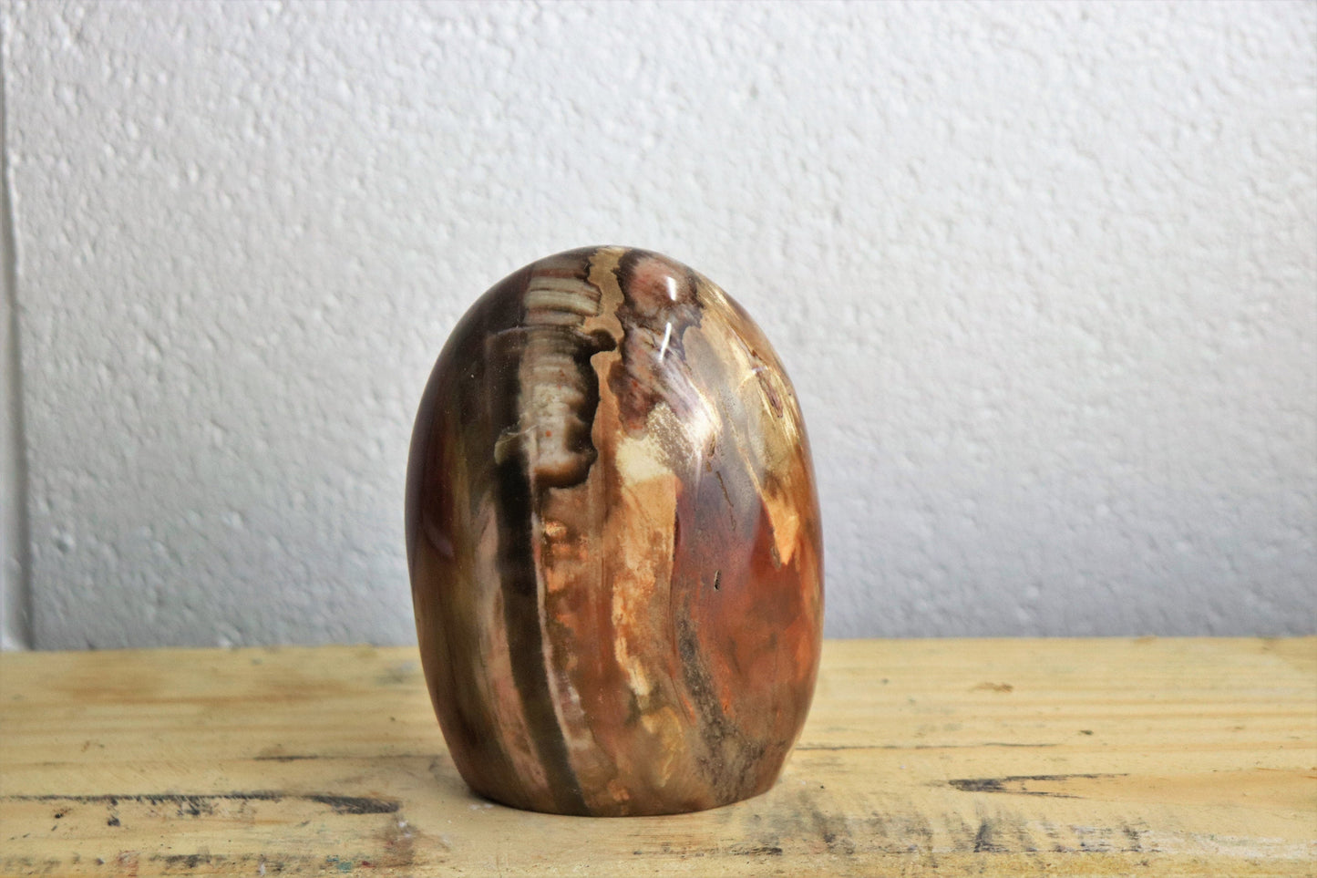 Fossil Wood Crystal Polished Freeform