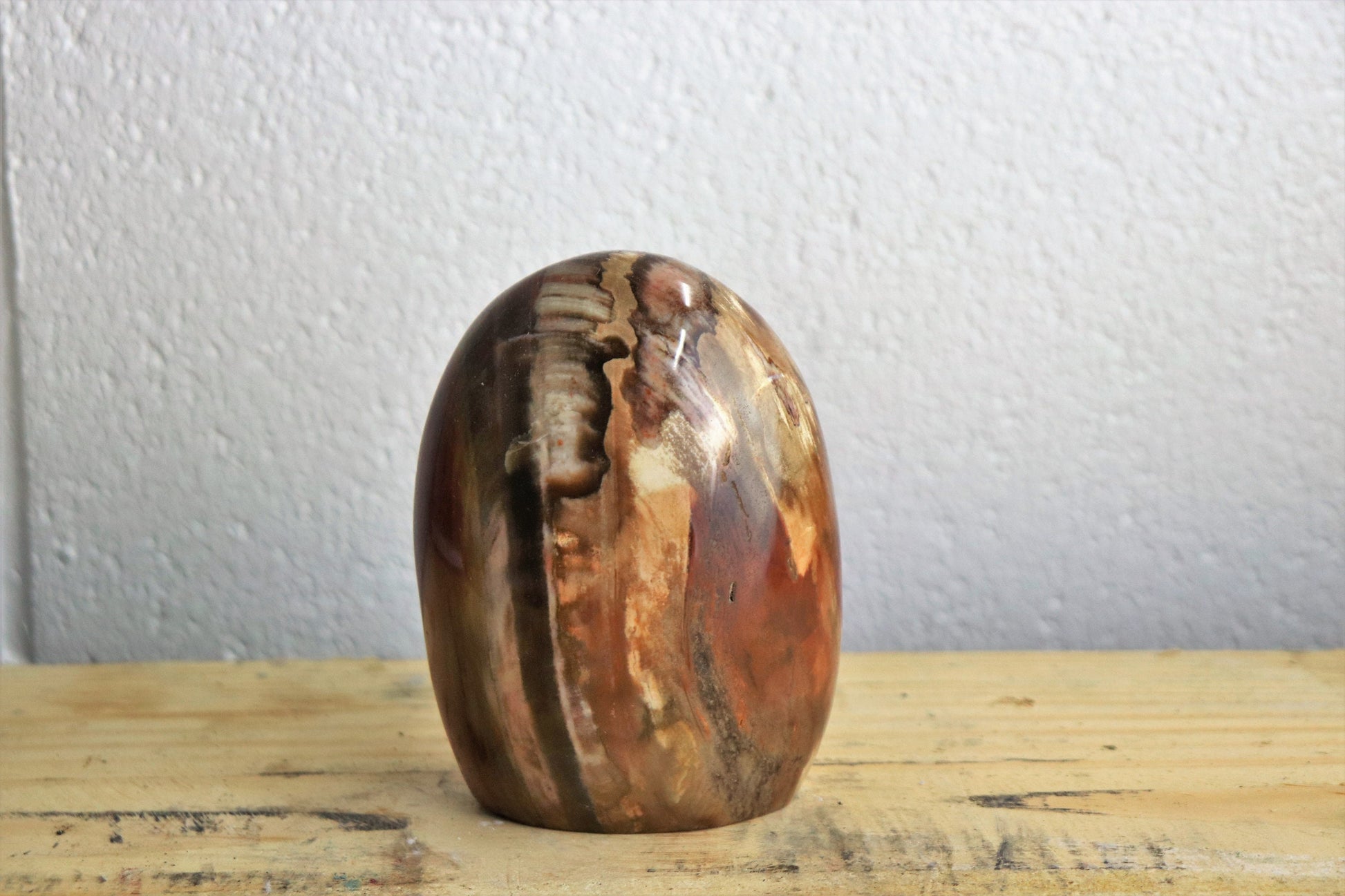 Fossil Wood Crystal Polished Freeform