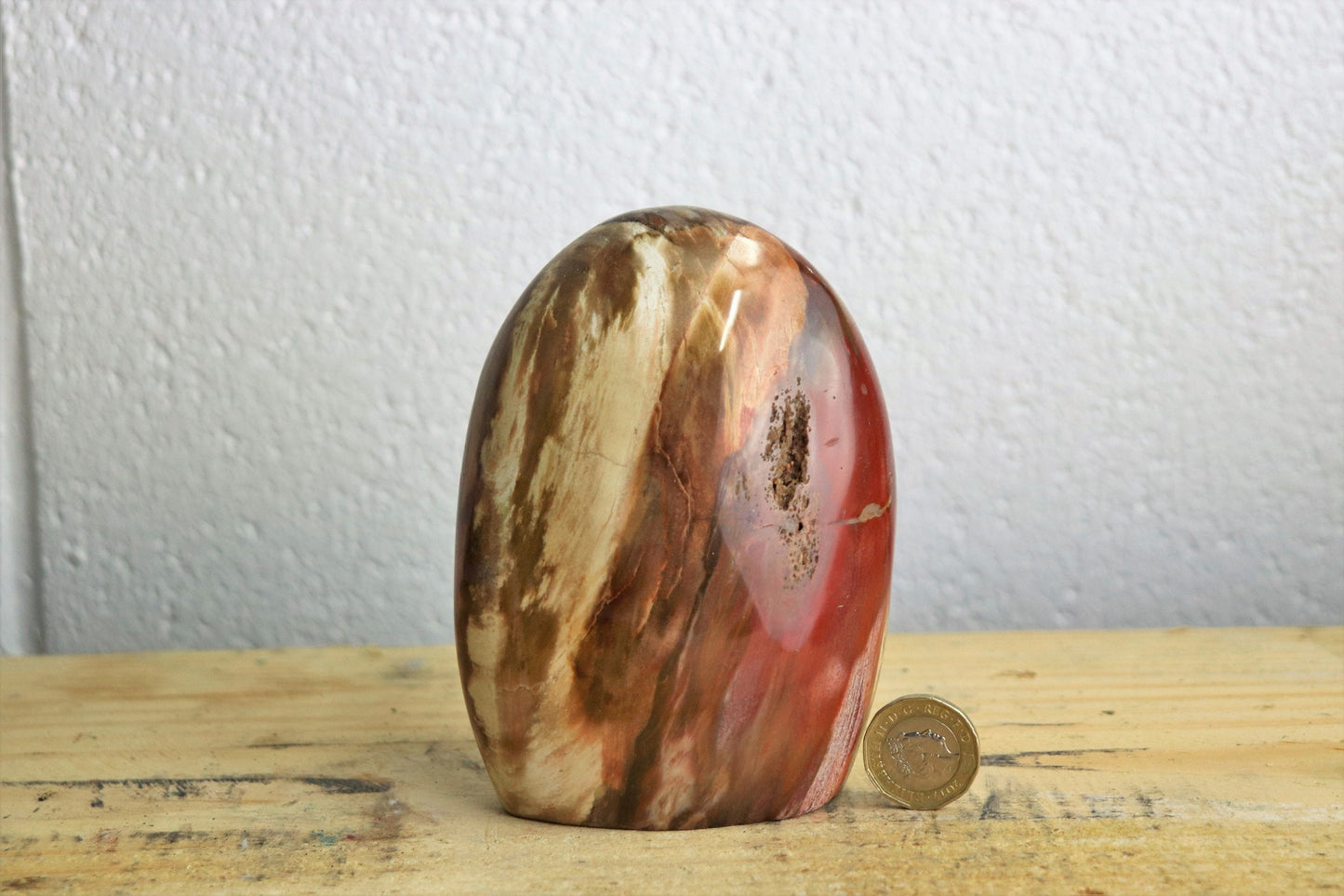 1) Fossil Wood Crystal Polished Freeform