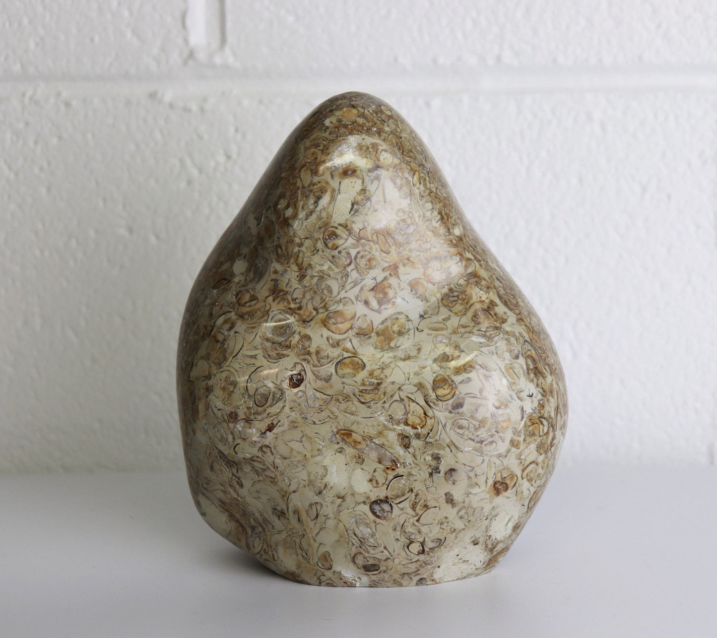 3) Large Coquillage Shell Jasper Crystal Ornament  2.41KG