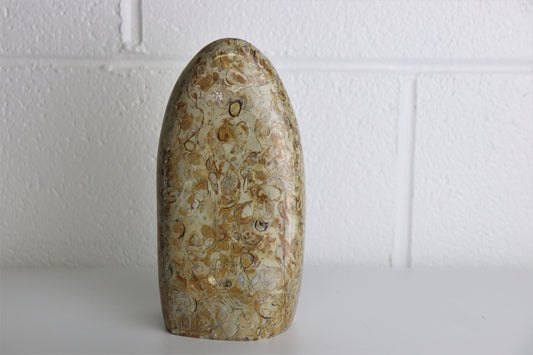 6) Large Coquillage Shell Jasper Crystal Ornament