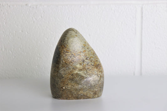 5) Large Coquillage Shell Jasper Crystal Ornament